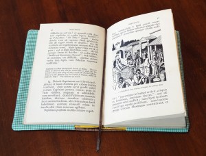 And here it is, lying open, quite a comfortably sized children's novella. I sewed a bookmark ribbon into the custom book jacket I made for Septimus.