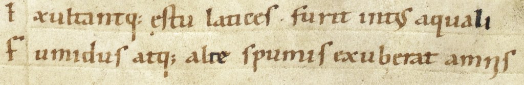 Exsultantque aestu latices, furit intus aquali [sic.] Fumidus atque alte spumis exuberat amnis And the liquid leaps up with fervour; the steaming torrent of water rages within and overflows high with froth (7.464-5)