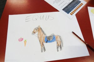 A drawing activity with Latin words as prompts